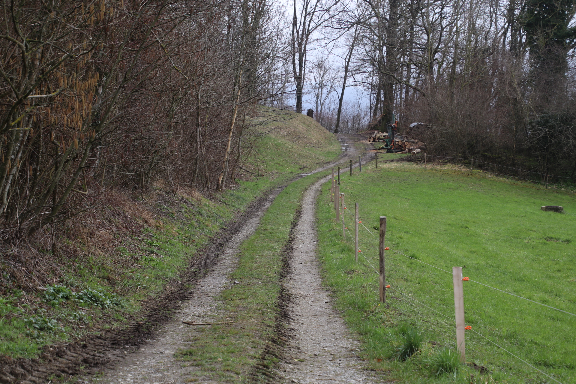 Wie verlaufen Krisen?